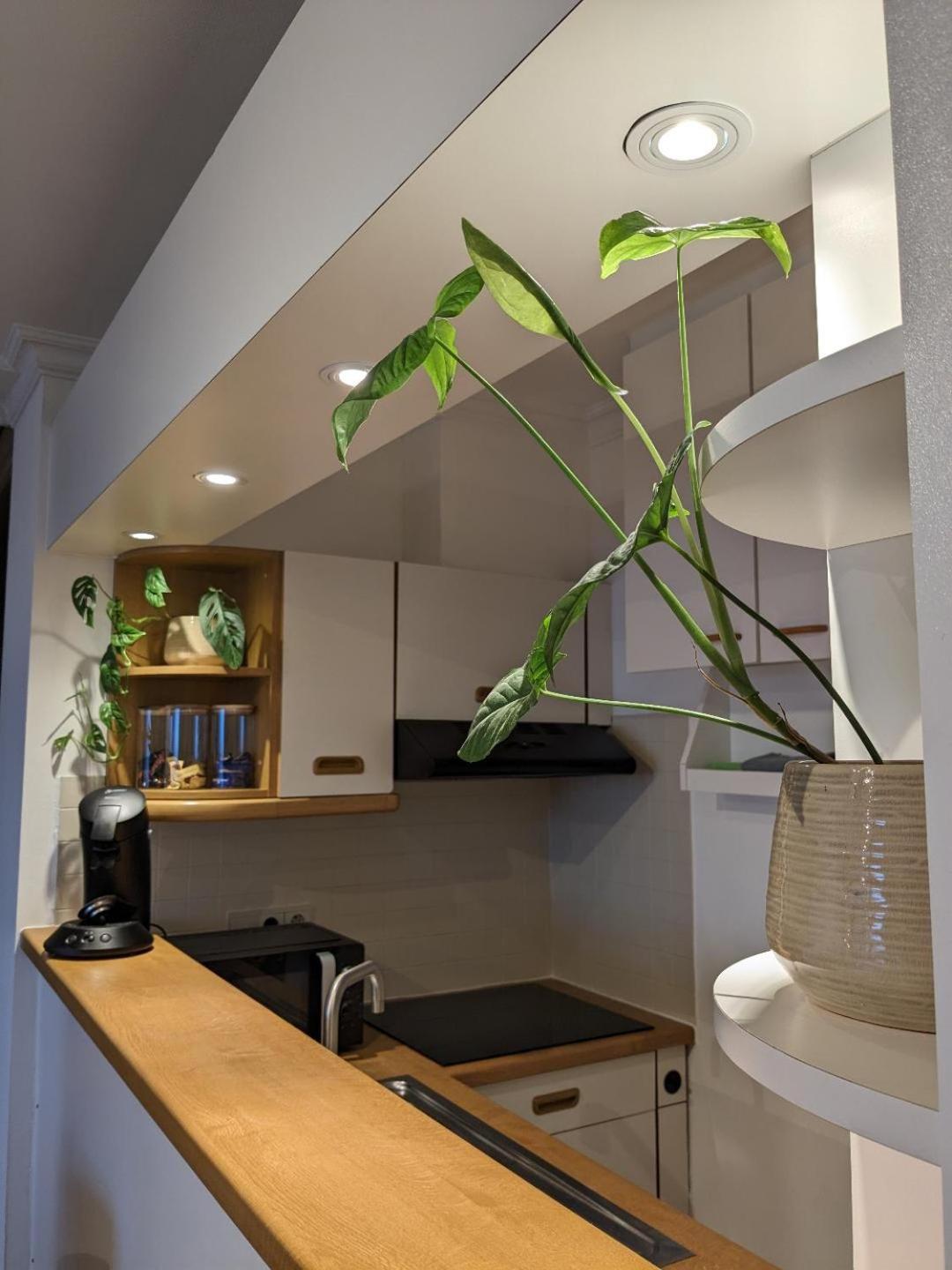 Vista Linda, Leuk Appartement Vlak Bij Zeedijk En Strand أوستيند المظهر الخارجي الصورة