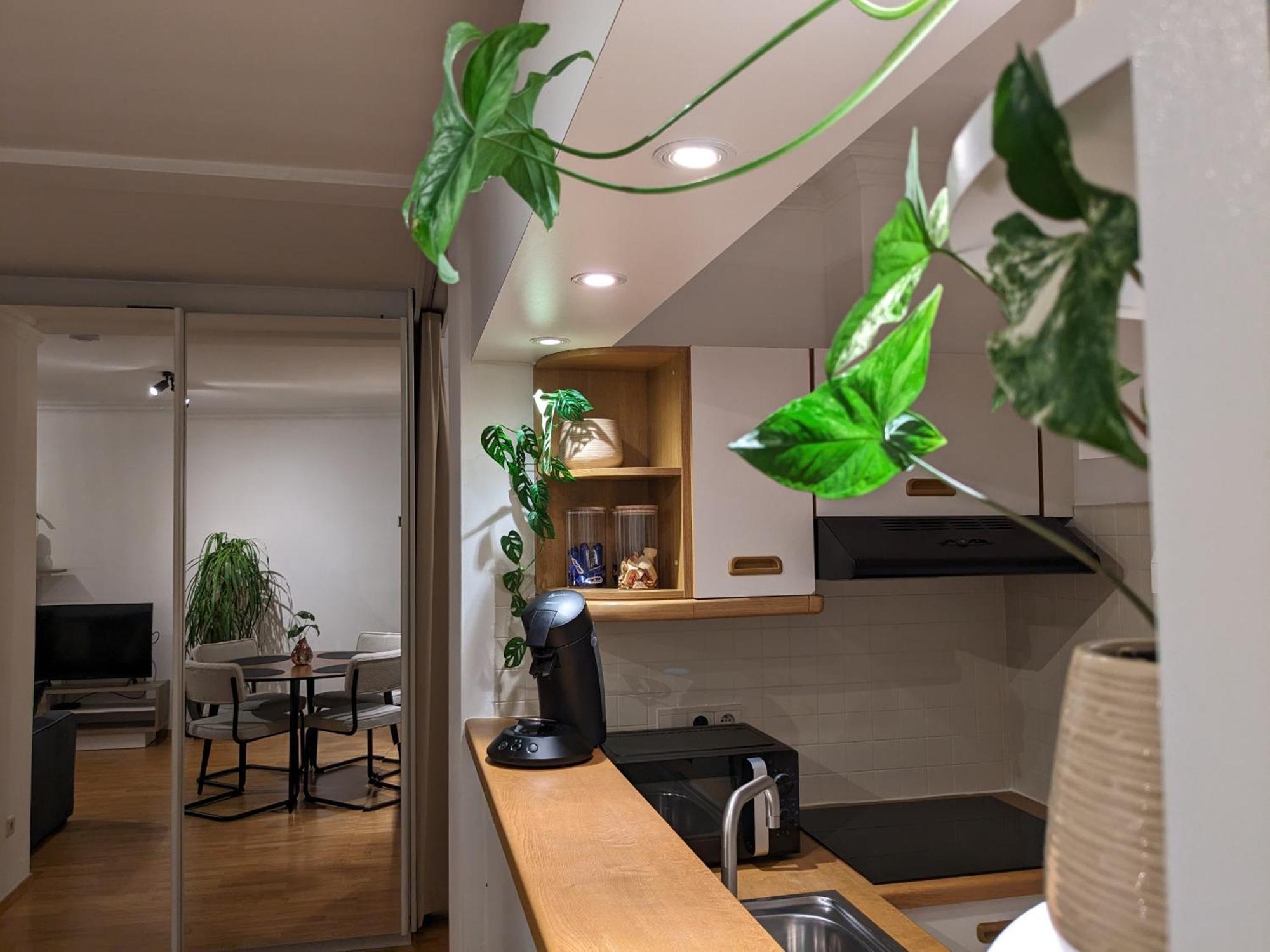 Vista Linda, Leuk Appartement Vlak Bij Zeedijk En Strand أوستيند المظهر الخارجي الصورة